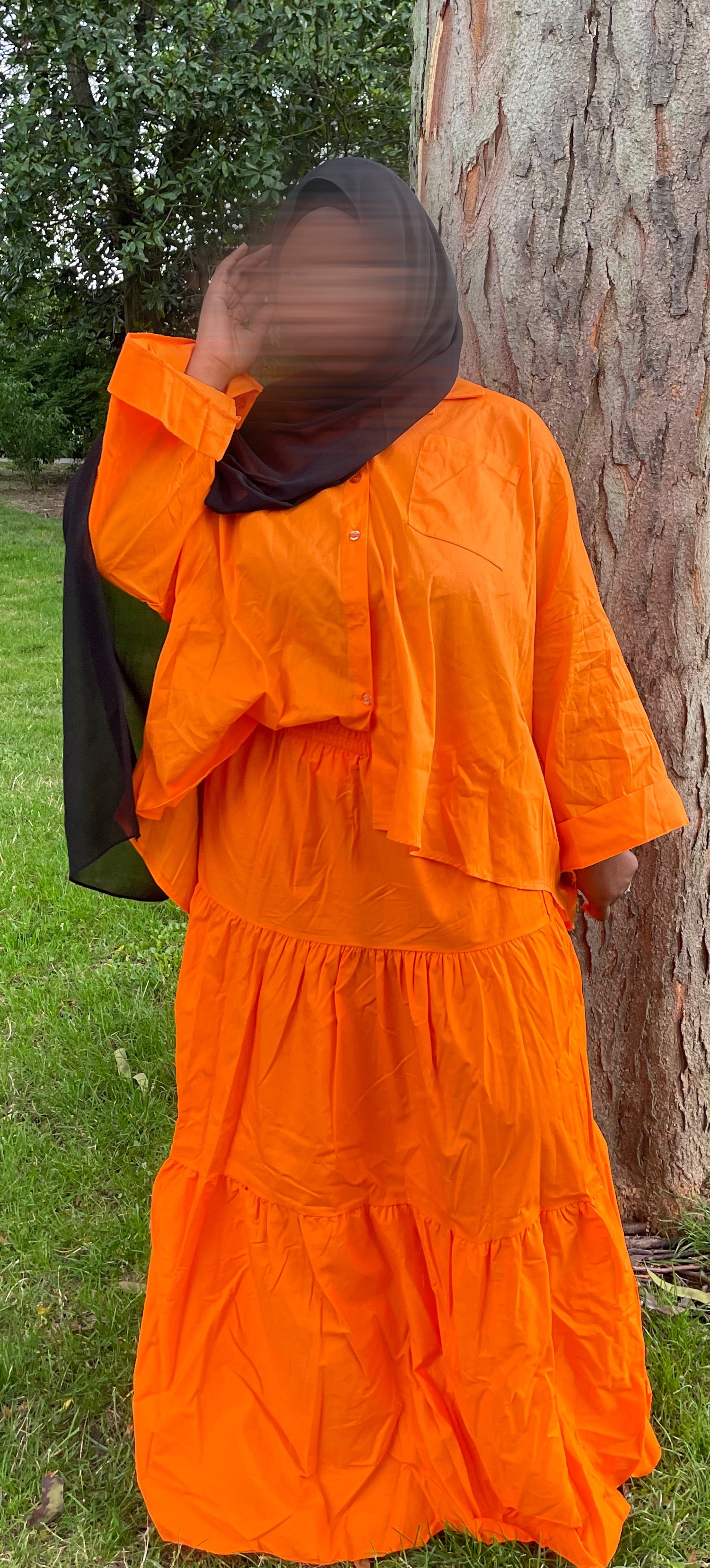 Ensemble ng